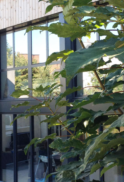 Extension d’une maison à Rennes
